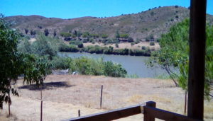 View from Cabin Veranda